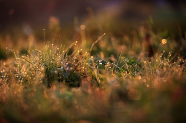 Sonbaharda dağlarda güzel bir gün doğumu