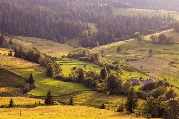 พระอาท สวยงามในภ เขา Carpathian ในฤด ใบไม — ภาพถ่ายสต็อก