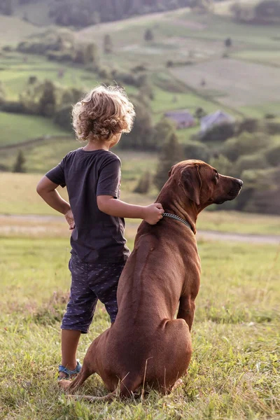 Kıvırcık çocuk ve büyük köpek yan yana oturuyor.