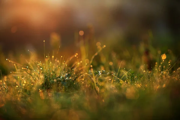 Schöner Sonnenaufgang Den Bergen Herbst — Stockfoto