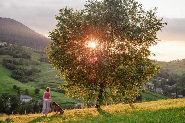 Wanita Dan Anjing Pegunungan Saat Matahari Terbenam — Stok Foto