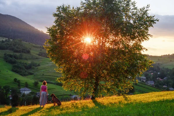 Wanita Dan Anjing Pegunungan Saat Matahari Terbenam — Stok Foto