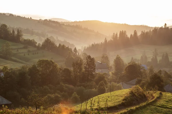 Indah Matahari Terbit Pegunungan Carpathian Musim Gugur Stok Foto Bebas Royalti