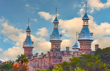 Tampa Bay, Florida. 19 Ocak 2019. Üstten Görünüm Henry B. bitki Müzesi. -Bu Tampa Downtown'da bina bir Neo Arap tarzı.