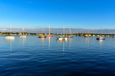 St Augustine, Florida. 26 Ocak 2019. Teknelerden ve köprü aslanlar Florida'nın tarihi Coast (2)