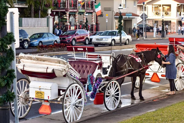 San Agustín Florida Enero 2019 Mujer Acariciando Caballo Viaje Transporte — Foto de Stock