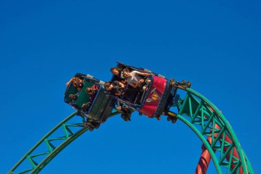 Tampa, Florida. Bir tur at Bush bahçeleri Tampa Bay Kobra'nın Hunt Roller Coaster içinde zevk 26 Aralık 2018 komik insanlar