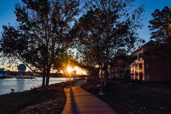 Orlando Florida January 2019 Silhouette Trees Hotel Beautiful Sunset Background — Stock Photo, Image