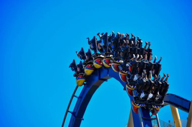 Tampa, Florida. 26 Aralık 2018. Biniciler müthiş Montu Roller Coaster'Bush bahçeleri Tampa Körfezi'ndeki tadını çıkarın.
