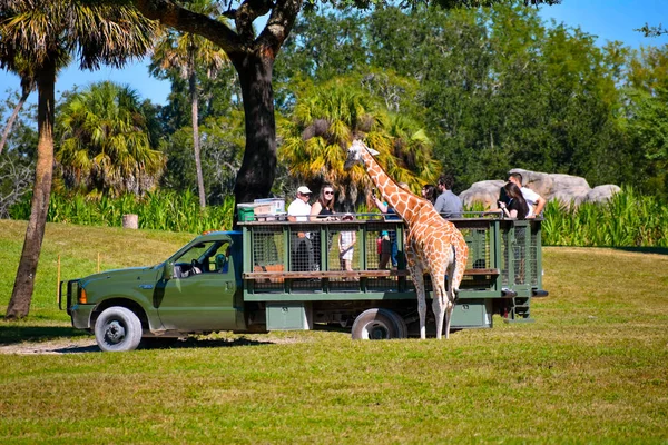 Tampa Florida Dezembro 2018 Pessoas Desfrutando Safári Tirando Fotos Uma — Fotografia de Stock