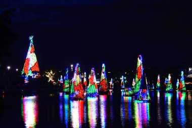 Orlando, Florida. 24 Kasım 2018. Renkli Işıklı Noel ağaçları ve bir göl at Seaworld Tema Park onun yansıması