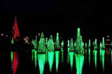 Orlando, Florida. 21 Kasım 2018. Renkli Işıklı Noel ağaçları ve bir göl at Seaworld Tema Park onun yansıması. (7)
