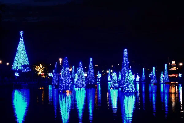 Orlando Florida November 2018 Bunt Beleuchtete Weihnachtsbäume Und Ihre Spiegelung — Stockfoto