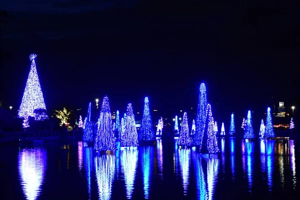Orlando Florida Novembro 2018 Árvores Natal Coloridas Iluminadas Seu Reflexo — Fotografia de Stock