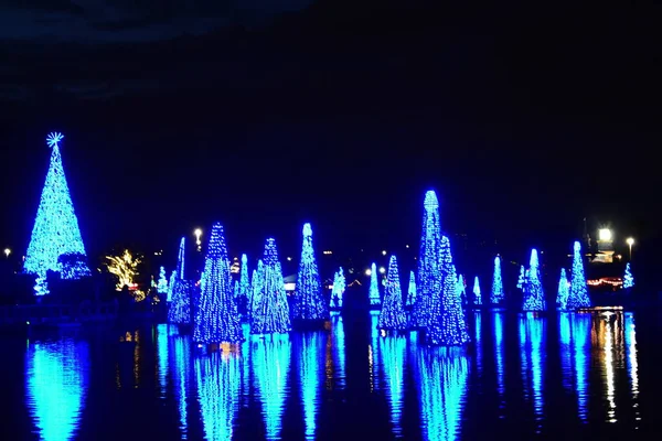 Orlando Florida November 2018 Bunt Beleuchtete Weihnachtsbäume Und Ihre Spiegelung — Stockfoto
