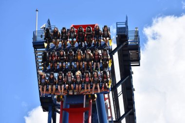 Tampa, Orlando. 05 Ekim 2018 komik insanlar gökyüzüne Sheikra Rollercoaster Bush bahçeleri Tampa Bay tepesinden iniyor.