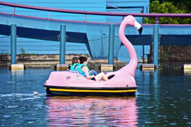 Orlando, Florida. 29 Ekim 2018. Arkadaşlar raket flamingo üzerinde rahatlatıcı Seaworld Tema Park adlı tekne.