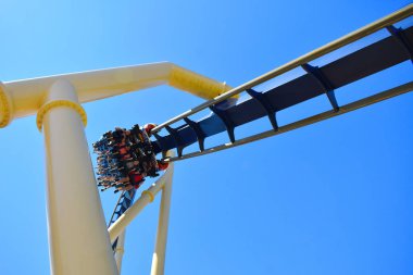 Tampa, Florida. 25 Ekim 2018. Komik biniciler heyecan verici Montu Roller Coaster Bush bahçeleri Tampa Bay Tema Parkı, zevk..