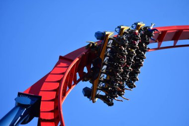 Tampa, Florida. 70 mil Sheikra lunapark treni girdap Rüzgar Bush Gardens bir Immelmann döngü ile dalış düz aşağı olarak 25 Ekim 2018 hız için teslim