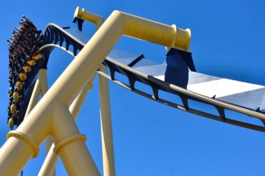 Tampa, Florida. 25 Ekim 2018. Komik insanlar bir silinme Bush bahçeleri Tampa Bay, Montu Roller Coaster zevk