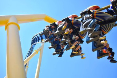  Tampa, Florida. 25 Ekim 2018 heyecanlı insanlar, yolculuğu Montu Roller Coaster'Bush bahçeleri Tampa Körfezi'ndeki sırasında bazı bağırarak..