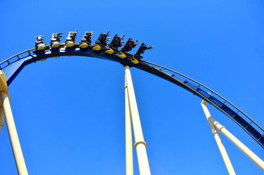  Tampa, Florida. 25 Ekim 2018 insanlar zevk hız ve adrenalin, Bush bahçeleri Tampa Bay Montu Roller Coaster tarafından sunulan