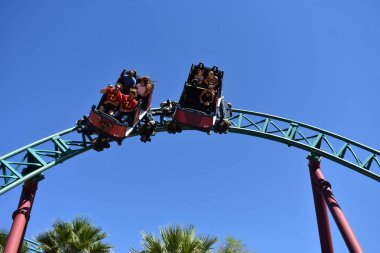 Tampa, Florida. Kobra'nın laneti Rollercoaster Bush bahçeleri Tampa Bay Tema Parkı, iplik zevk 25 Ekim 2018 biniciler.