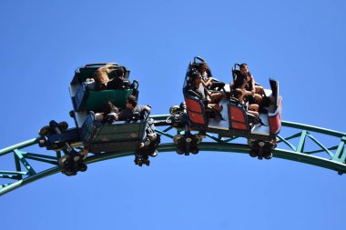 Tampa, Florida. 25 Ekim 2018 kadın ve arkadaşları zevk heyecan verici ve beklenmedik katlanmış Kobra'nın laneti'Bush bahçeleri Tampa Körfezi içinde