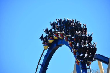 Tampa, Florida. 25 Ekim 2018. Biniciler müthiş Montu Roller Coaster'Bush bahçeleri Tampa Körfezi'ndeki tadını çıkarın...
