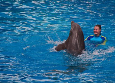 Orlando, Florida. 09 Eylül 2018 kız eğitmen Seaworld Show'da bir yunus ile etkileşim.