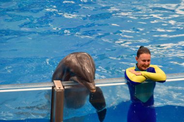 Orlando, Florida. 09 Eylül 2018 eğitmen kız ve güzel yunus kamu az arıyor