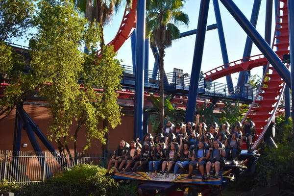 Tampa, Florida. 25 Ekim 2018 Rollercoaster Bush Gardens, Bush bahçeleri Tampa Bay Tema Parkı içinde komik insanlar korkunç eğleniyor gezisi.