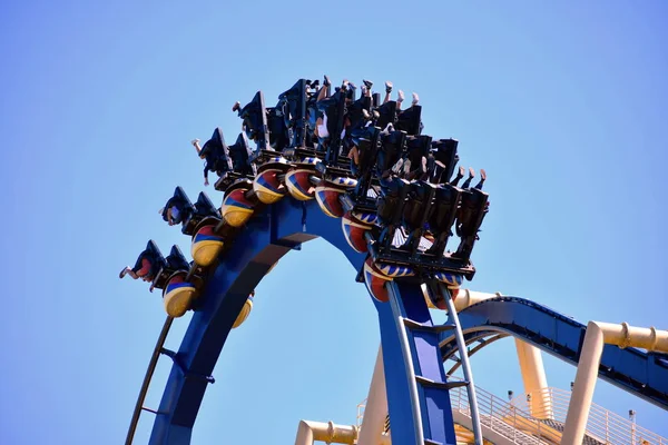 Tampa, Florida. 25 Ekim 2018 inanılmaz eğlence Montu Rollercoasterat Bush bahçeleri Tampa Bay açmak..