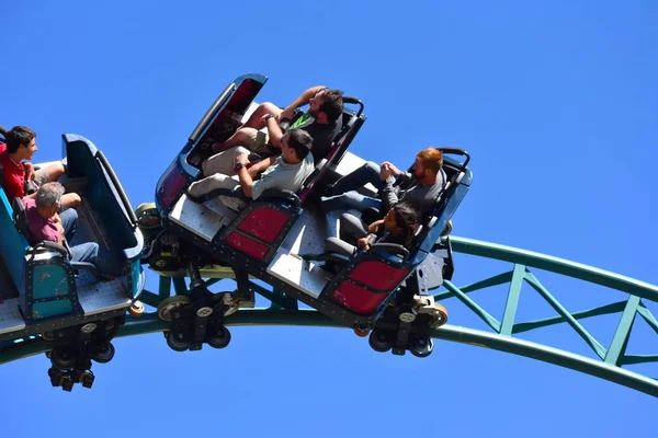 Tampa, Florida. 25 Ekim 2018'bush bahçeleri Tampa Körfezi'ndeki inanılmaz ve harika Kobra'nın laneti.