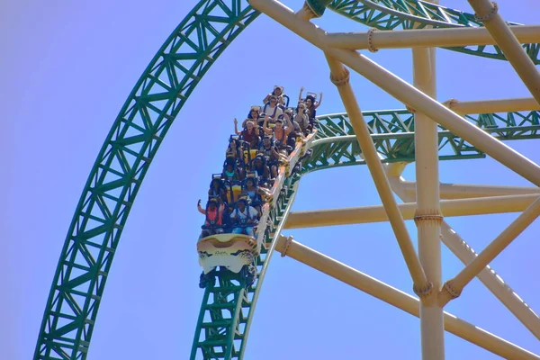  Tampa, Florida. Müthiş çita av Rollercoaster'Bush bahçeleri Tampa Körfezi'ndeki saatte 60 mil inen 25 Ekim 2018 komik insanlar.