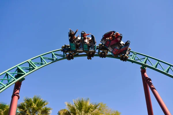  Tampa, Florida. 25 Ekim 2018 arkadaşlar Kobra'nın laneti rollercoaster Bush bahçeleri Tampa Bay Tema Parkı, üzerinde dolanan sürüş keyfini çıkarın