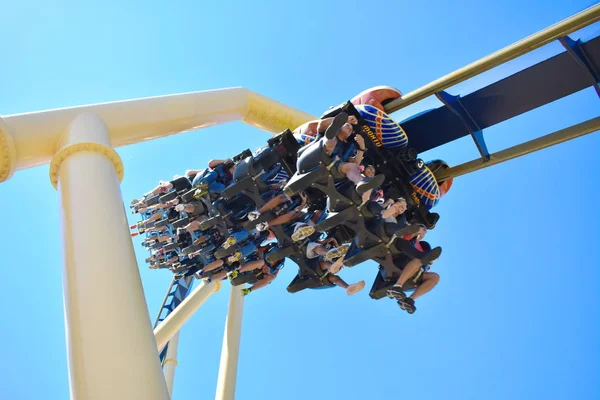 Tampa, Florida. 25 Ekim 2018. Montu Rollercoaster Bush bahçeleri Tampa Bay Tema Parkı, şaşırtıcı mücadelesine.