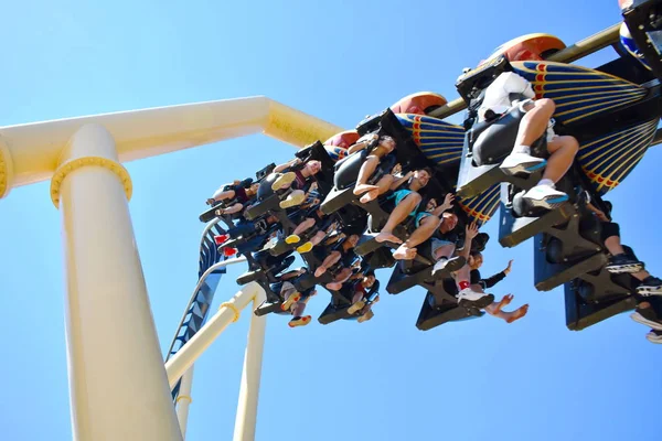 Tampa, Florida. 25 Ekim 2018. Montu Rollercoaster Bush bahçeleri Tampa Bay Tema Parkı, inanılmaz duygu.