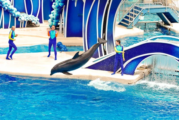 Orlando Florida Septiembre 2018 Dolphin Saltando Piscina Dolphin Days Show — Foto de Stock