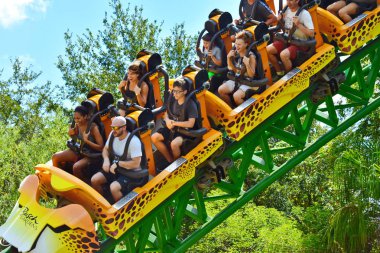 Tampa, Florida; 29 Eylül 2018 hızlı ve heyecan verici kökenli çita av Rollercoaster Bush bahçeleri lunapark..