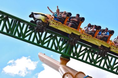 Tampa, Florida; Eylül 29,2018 adam müthiş çita av Rollercoaster'Bush bahçeleri Tampa Körfezi'ndeki şaşırtıcı hızlı binmek sahiptir..