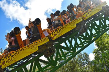Tampa, Florida; September 29,2018. Descending rapidly in Cheetah Curse Rollercoaster at Bush Gardens Tampa Bay Theme Park clipart