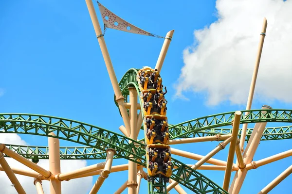 Tampa Florida September 2018 Högsta Område Cheetah Hunt Rollercoaster Bush — Stockfoto