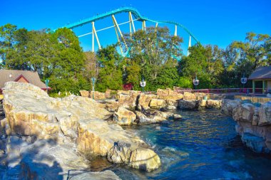 Orlando, Florida. 26 Şubat 2019. Panoramik deniz aslanları buzlu at Seaworld Tema Park (1)