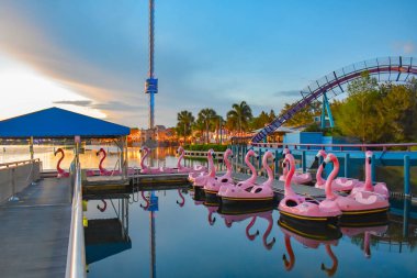Orlando, Florida. 09 Mart 2019. Panoramik Flamingo'nın raket tekne ve Mako rollercoaster at Seaworld International Drive alanında (2).