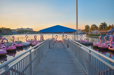 Orlando, Florida. 09 Mart 2019. İskele ve flamingo'nın raket tekneler at Seaworld International Drive alanında (1 gün batımı renkli arka plan üzerinde).