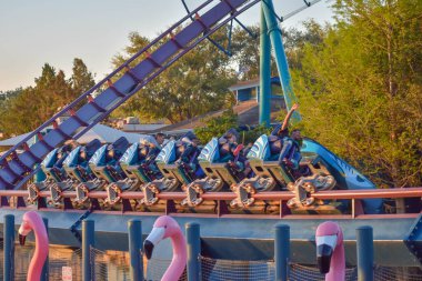 rlando, Florida. 09 Mart 2019. Mako Rollercoaster at Seaworld International Drive alanında (2 zevk insanlar).