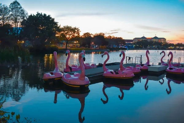 Orlando, Florida. 09 Mart 2019. Flamingo'nın raket tekne at Seaworld International Drive alanı (2 gün batımı renkli arka plan üzerinde)