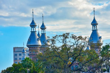 Tampa Bay, Florida. 02 Mart 2019. Henry B. bitki Müzesi üstten görünüm lightblue bulutlu gökyüzü backgrond kent merkezinde üzerinde..