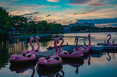 Orlando, Florida. 7 Nisan 2019. International Drive alanında Seaworld güzel sahne üzerinde Magenta kuğu kürek tekneler.